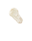 Microdermabrasion Exfoliator